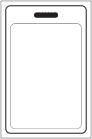 VIP Pass/Badge